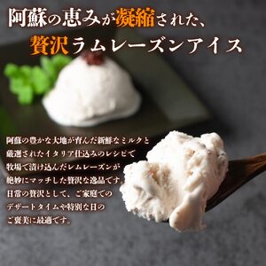 阿蘇ミルクアイス ラムレーズン【4L】