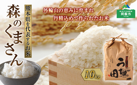 令和6年度産　内田農場の新米　森のくまさん10kg 5kg×2袋 白米