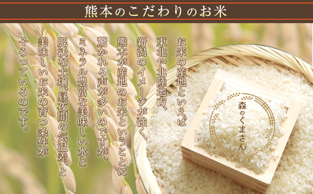 令和6年度産　内田農場の新米　森のくまさん10kg 5kg×2袋 白米