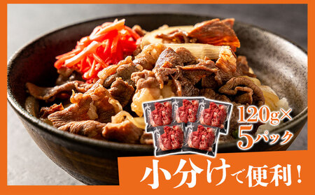 あか牛切り落とし 小分けでお届け(120g×5パック(真空包装)) 計600g