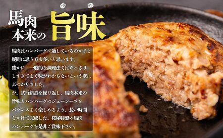 【阿蘇牧場】馬肉＆熊本県産ジャージー牛乳使用！特製ハンバーグ 150g×10個  馬肉 ヘルシー 人気 美味しい 鉄分豊富 馬肉 ハンバーグ ジューシー 熊本県 阿蘇市