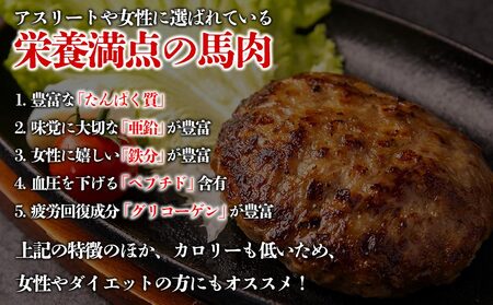 【阿蘇牧場】馬肉＆熊本県産ジャージー牛乳使用！特製ハンバーグ 150g×10個  馬肉 ヘルシー 人気 美味しい 鉄分豊富 馬肉 ハンバーグ ジューシー 熊本県 阿蘇市