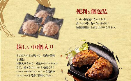 【阿蘇牧場】馬肉＆熊本県産ジャージー牛乳使用！特製ハンバーグ 150g×10個  馬肉 ヘルシー 人気 美味しい 鉄分豊富 馬肉 ハンバーグ ジューシー 熊本県 阿蘇市