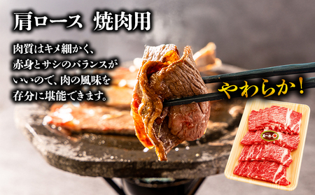 くまもとあか牛大満喫！サーロインステーキ＆すき焼き＆焼肉3種セット（計2.8kg）