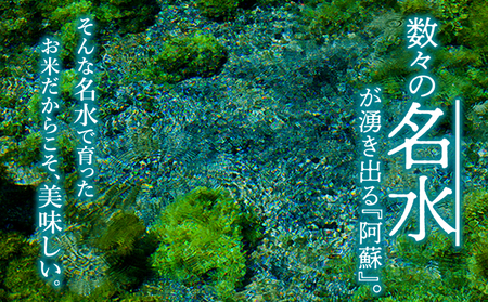 令和7年産　コシヒカリ 5kg　水穂やまだ グランプリ獲得 お米 米 人気 美味しい 弾力 粘り 食感 湧水 熊本 阿蘇