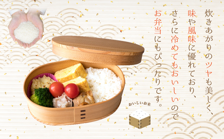【予約】 新米 令和7年産 くまさんの輝き 5kg(白米)ファーム中村 熊本県 阿蘇市