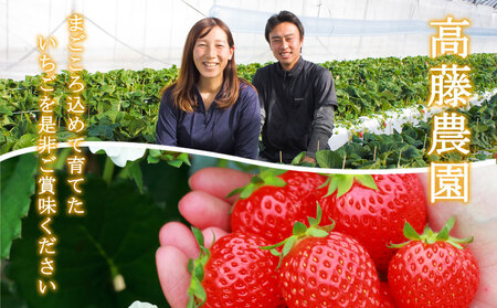 高藤農園 ゆうべに・恋みのり 各2パック 食べ比べセット いちご 熊本県 阿蘇市