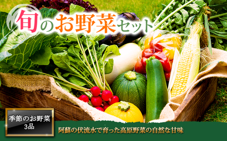 ＜畑から直送＞季節のお野菜セット Sサイズ（3品）