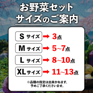 ＜畑から直送＞季節のお野菜セット Sサイズ（3品）