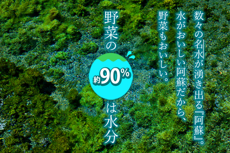 ＜畑から直送＞季節のお野菜セット Sサイズ（3品）