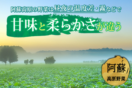 ＜畑から直送＞季節のお野菜セット Sサイズ（3品）