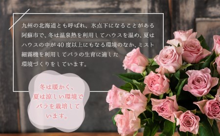 バラの花束（ピンクパープル系）