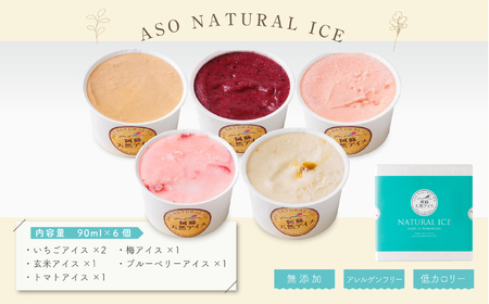 阿蘇天然アイス　～極みシリーズ～　6個セット