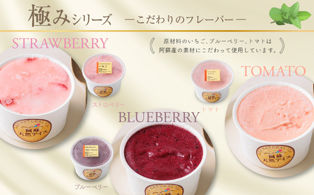 阿蘇天然アイス　～極みシリーズ～　6個セット