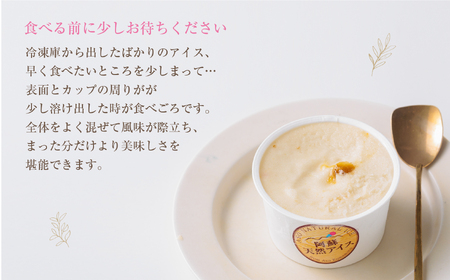 阿蘇天然アイス　～極みシリーズ～　6個セット