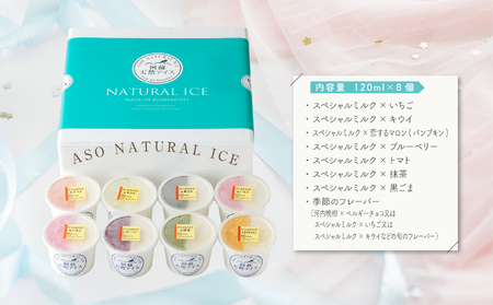 阿蘇天然アイス　ハーフ&ハーフ　8個セット