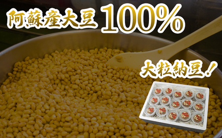 阿蘇産大豆100%手作り納豆 「おふくろの味」60個