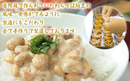 阿蘇産大豆100%手作り納豆 「おふくろの味」60個