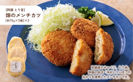 おうちごはんシリーズ 下ごしらえ完了セットver.2