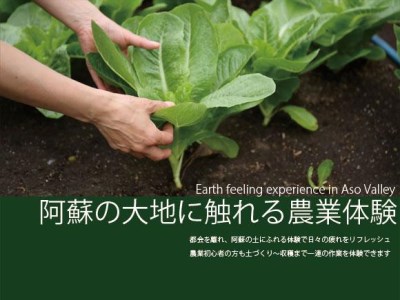 阿蘇蔵農園 阿蘇のカルデラで農業体験＆お散歩 野菜スムージー・お弁当あり