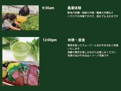 阿蘇蔵農園 阿蘇のカルデラで農業体験＆お散歩 野菜スムージー・お弁当あり
