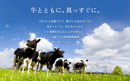 牧場直送！阿蘇ミルクアイスバラエティー10個～ふるさとセット～