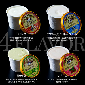 牧場直送！阿蘇ミルクアイスバラエティー10個～ふるさとセット～