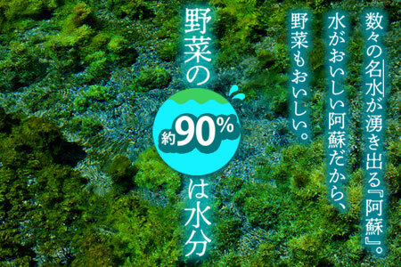 季節のお野菜セットと阿部牧場ののむヨーグルト800ml×2本