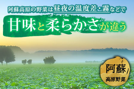 季節のお野菜セットと阿部牧場ののむヨーグルト800ml×2本