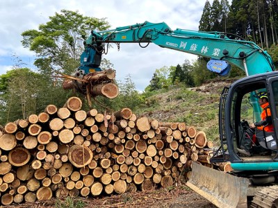 阿蘇の薪 広葉樹40kg（20kg×2箱）