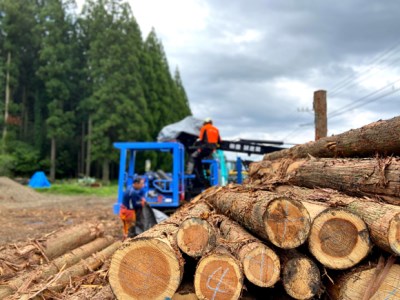阿蘇の薪 広葉樹40kg（20kg×2箱）
