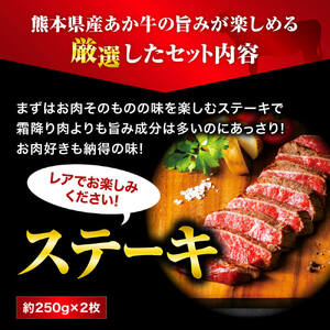 【熊本県産】あか牛を堪能できるステーキとハンバーグセット計2kg