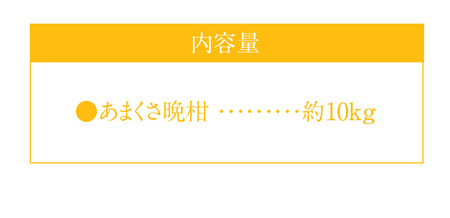 S149-002_あまくさ晩柑 約10kg【先行受付】