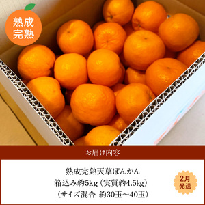 S117-006_香りを食す！熟成完熟天草ぽんかん 2月発送 約5kg箱 秀品〈先行受付〉