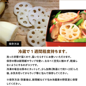 S089-010_天草 高浜蓮根 約3キロ