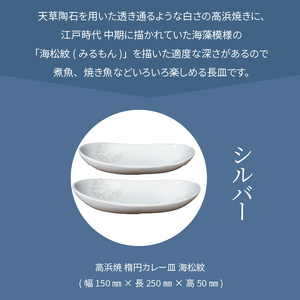 S026-067_天草 高浜焼 楕円カレー皿 2枚（シルバー）