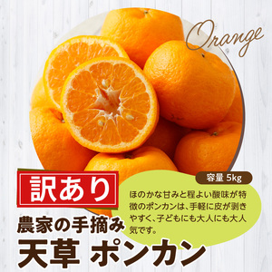 S040-028_【訳あり】農家の手摘み　天草ポンカン　家庭用　5kg