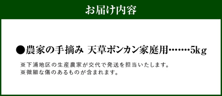 S040-028_【訳あり】農家の手摘み　天草ポンカン　家庭用　5kg