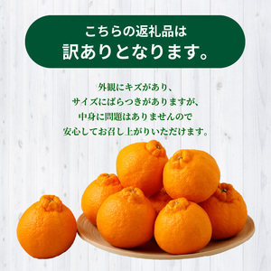 S040-030_【訳あり】農家の手摘み　不知火　家庭用　3kg