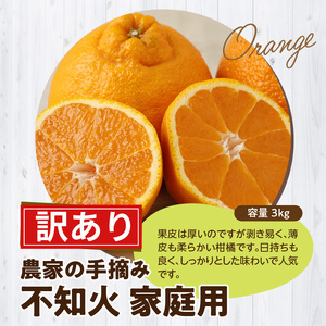 S040-030_【訳あり】農家の手摘み　不知火　家庭用　3kg