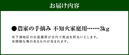 S040-030_【訳あり】農家の手摘み　不知火　家庭用　3kg
