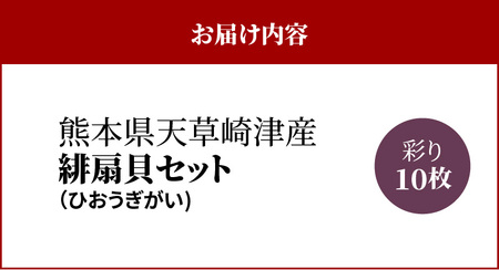 S021-004_熊本県天草崎津産 緋扇貝(ひおうぎがい) 彩り 10枚