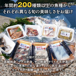 S059-023_食べ比べ10種類！天然鮮魚の刺身＆おつまみセット