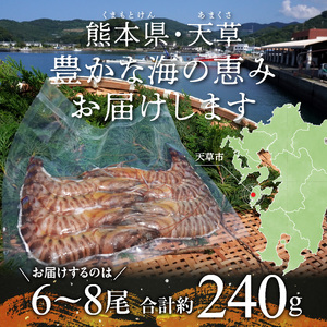 S059-024_特大 車エビ 1パック