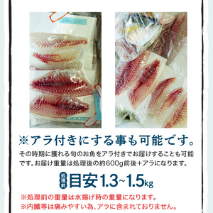 S121-T01_【全6回　連続】お刺身用柵定期便