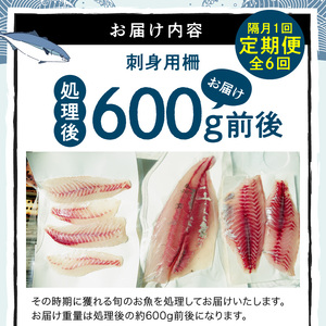 S121-T02_【隔月 6回お届け】天草天然鮮魚を直送 お刺身用柵定期便
