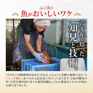 S106-035_【Firesh】一人暮らし応援!真鯛のお手軽セット(醤油漬け・西京漬け)