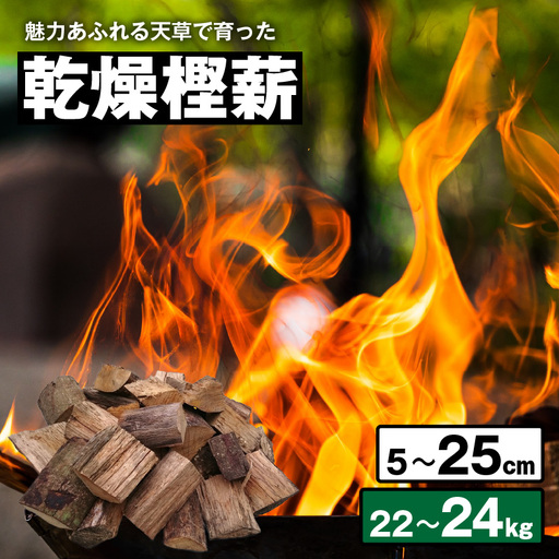 S163-003_魅力あふれる天草で育った乾燥樫薪（天樫　5cm～25cmコロ薪　22～24kg）