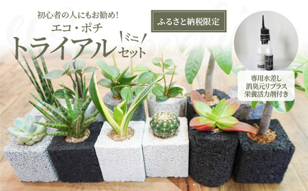 S060-111_【ふるさと納税限定】初心者の人にもお勧め！エコ・ポチ　トライアルセット・ミニ 10,220円