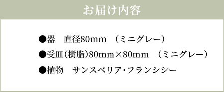 S060-115_エコ・ポチ　スフィア・ミニグレー　サンスベリア